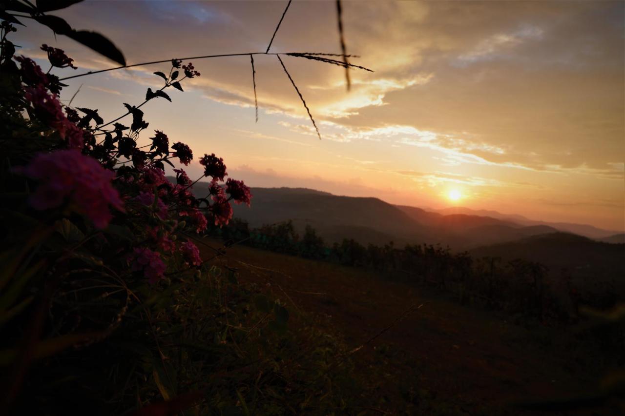 Peakaavu Cottages Idukki Exterior photo